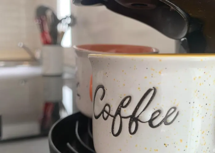 Dream Americas 美洲海滩