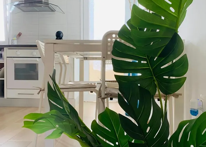 Dream Americas Lägenhet Playa de las Americas (Tenerife)